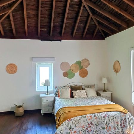 Villa Los Matos Pool And Garden Valleseco Екстериор снимка