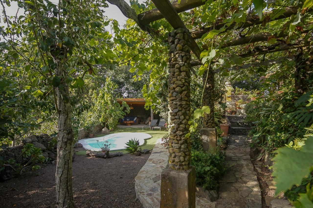 Villa Los Matos Pool And Garden Valleseco Екстериор снимка